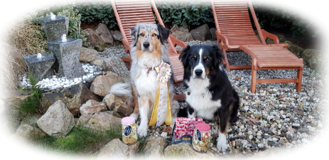 Fenja und Rocky 2018